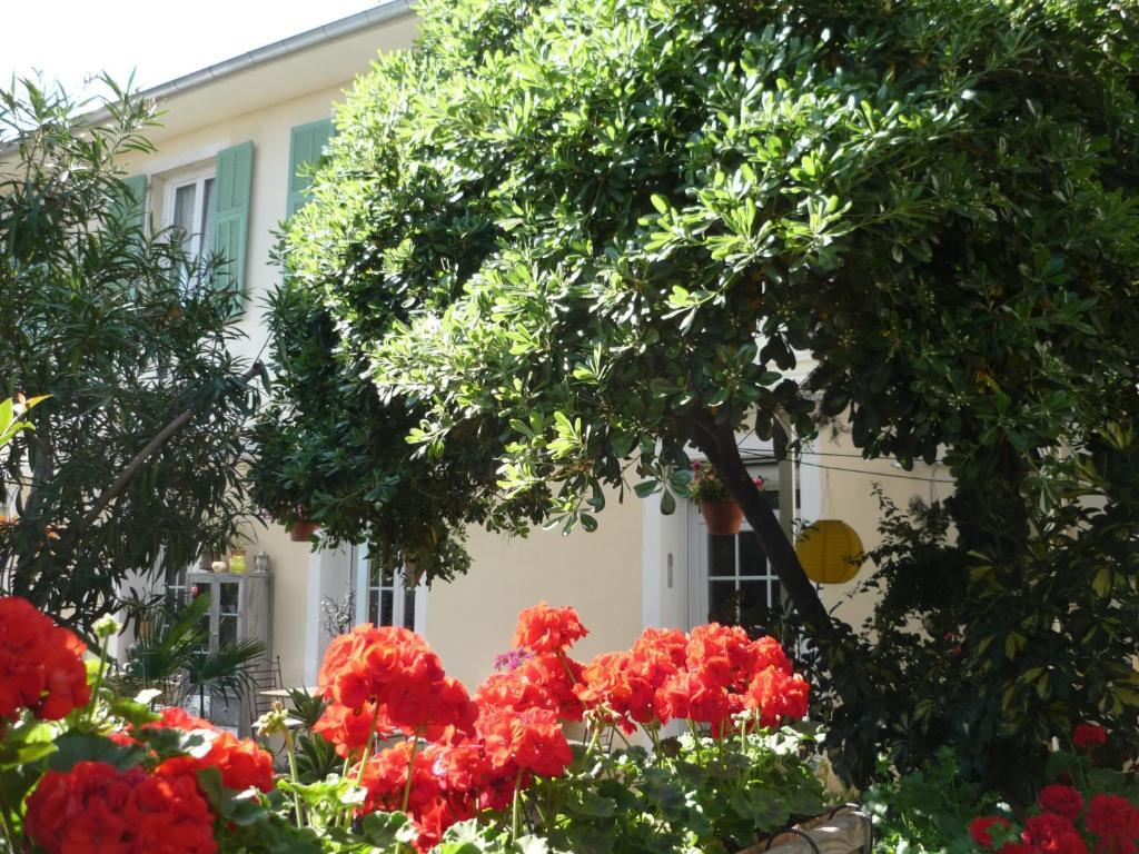 Logis Hotel Villa Victorine Nizza Kültér fotó